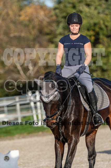 IGV Lehrgang der Sieger der Cups mit Frank Ostholt