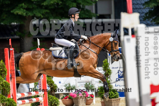 Goldene Schärpe 2021 - Ponys