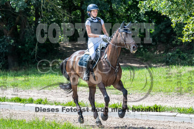 Late-Entry-Vielseitigkeit Langenfeld (06.+07.07.2020)