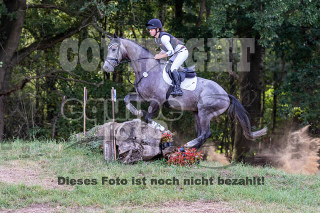 Late-Entry Vielseitigkeit Hamminkeln/Wesel (01.+02.08.2020)