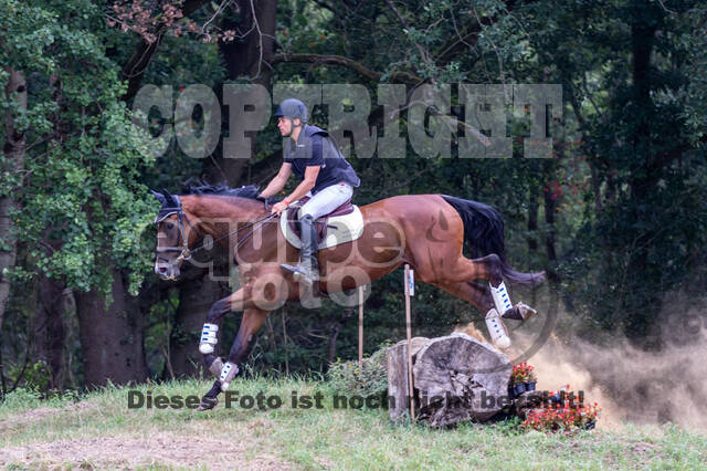 Late-Entry Vielseitigkeit Hamminkeln/Wesel (01.+02.08.2020)