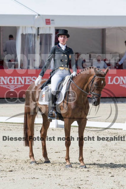 FEI European Championship Eventing 2017