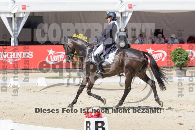 FEI European Championship