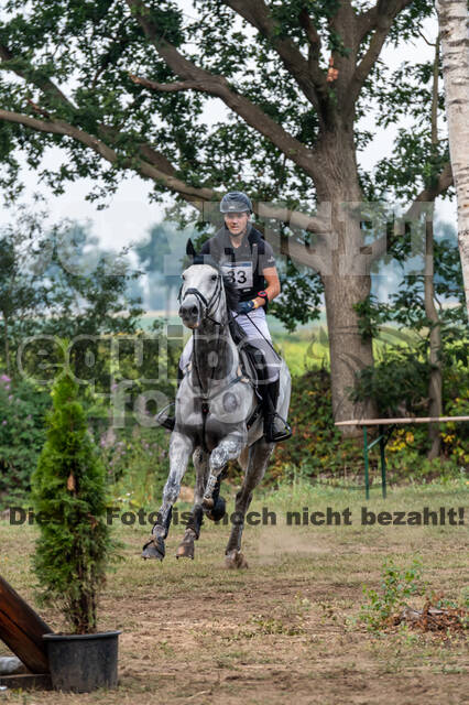 De Peelbergen (August 2020)