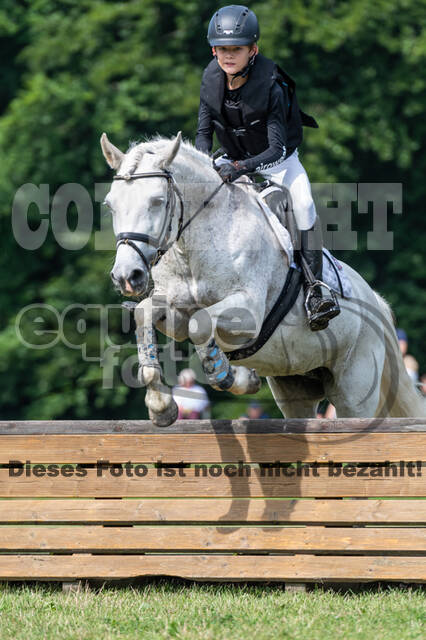 Goldene Schärpe 2021 - Ponys