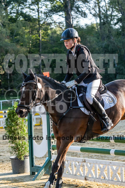 RFV Dinslaken-Hiesfeld (Herbstturnier)