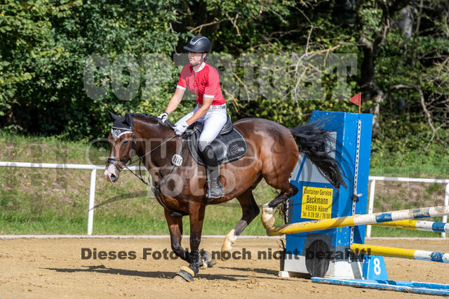RFV Dinslaken-Hiesfeld (Herbstturnier)