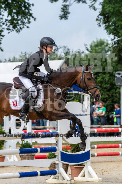Goldene Schärpe 2021 - Ponys