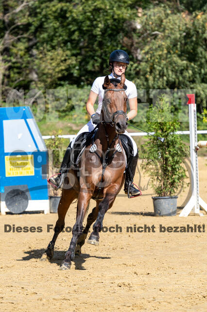 RFV Dinslaken-Hiesfeld (Herbstturnier)