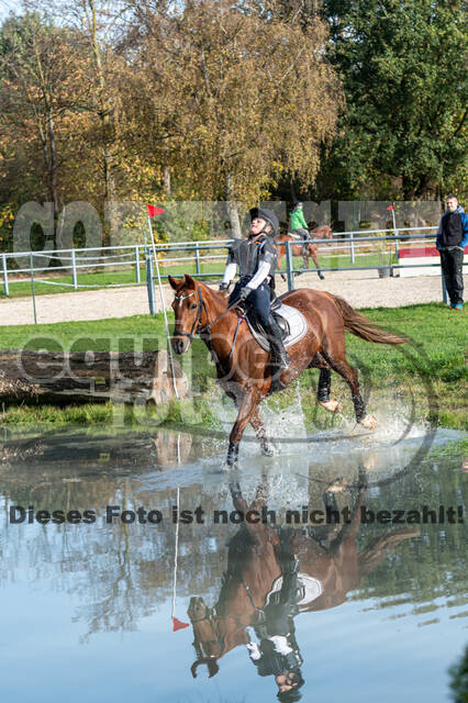 IGV Lehrgang der Sieger der Cups mit Frank Ostholt