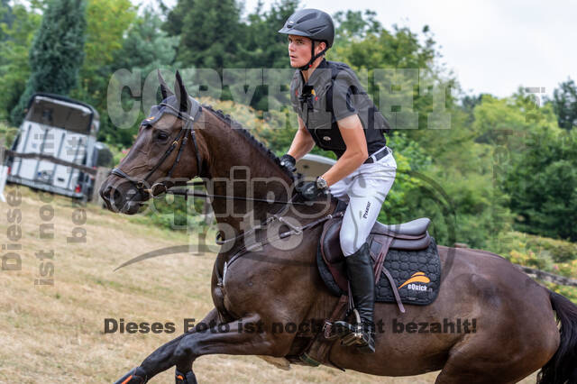 Late-Entry Vielseitigkeit Hamminkeln/Wesel (01.+02.08.2020)