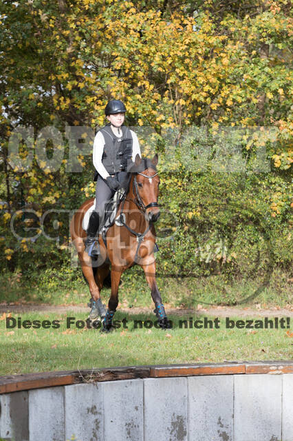 IGV Lehrgang der Sieger der Cups mit Frank Ostholt