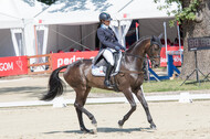 FEI European Championship