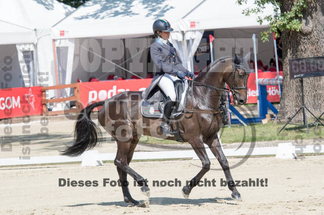 FEI European Championship