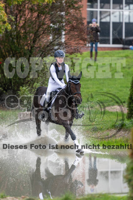 Goldene Schärpe 2020 - Pferde