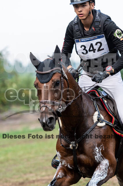 De Peelbergen (August 2020)