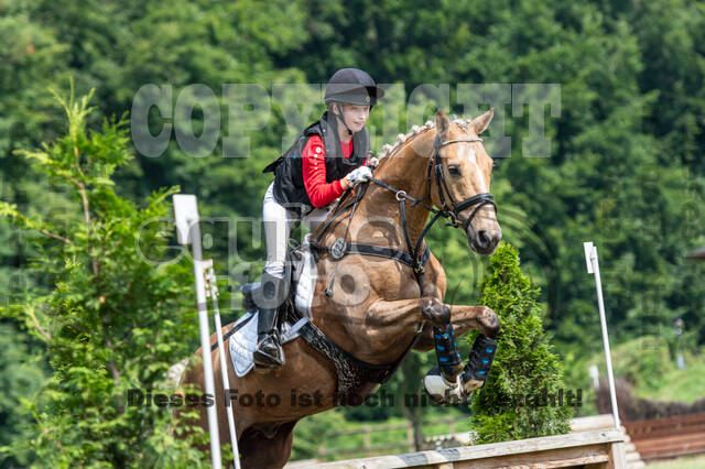 Goldene Schärpe 2021 - Ponys