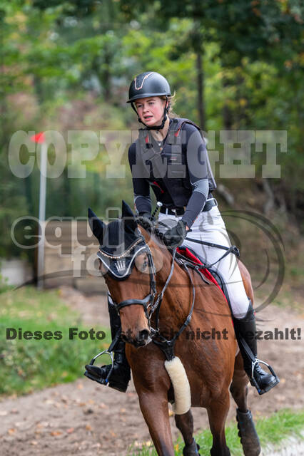 Goldene Schärpe 2020 - Pferde