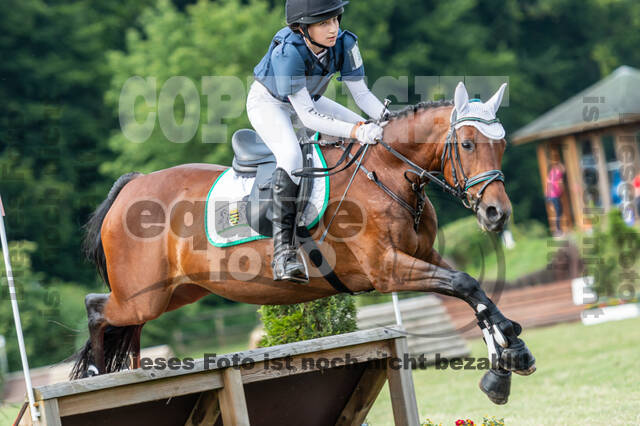Goldene Schärpe 2021 - Ponys
