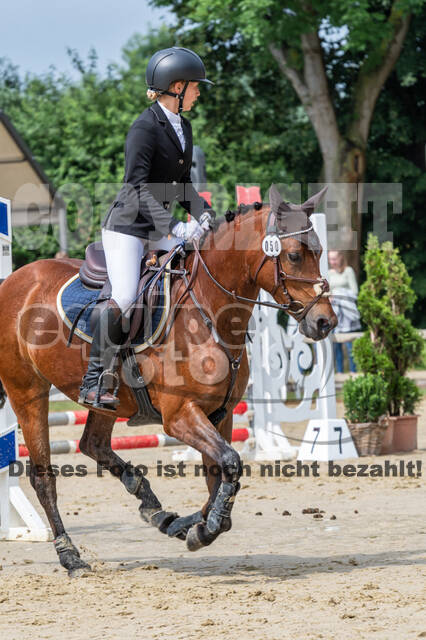 Goldene Schärpe 2021 - Ponys