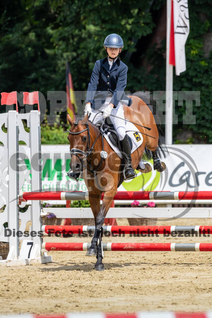 Goldene Schärpe 2021 - Ponys
