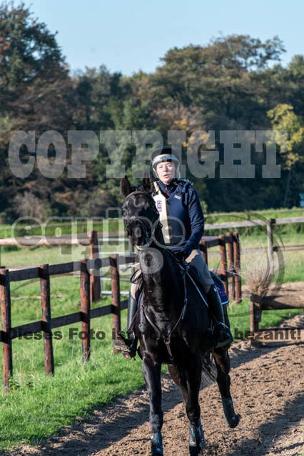 Vielseitigkeitslehrgang mit Jürg Kurbel (9.+10.11.2019)