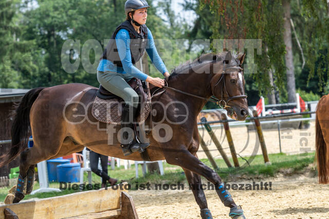 Hunter Geländetraining 10.07.2021 (Sonsbeck)