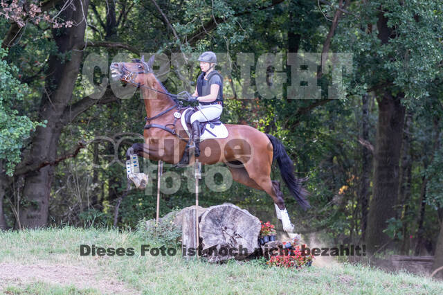 Late-Entry Vielseitigkeit Hamminkeln/Wesel (01.+02.08.2020)