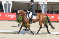 FEI European Championship Eventing 2017