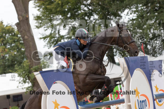 FEI European Championship