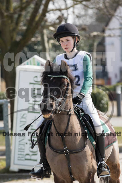 Eventing Langenfeld 2018