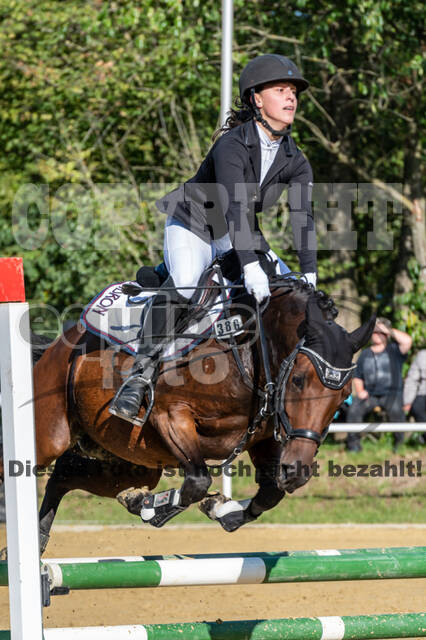 RFV Dinslaken-Hiesfeld (Herbstturnier)