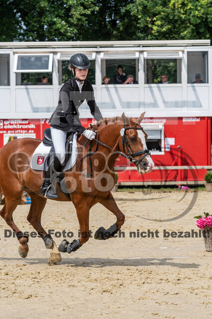 Goldene Schärpe 2021 - Ponys