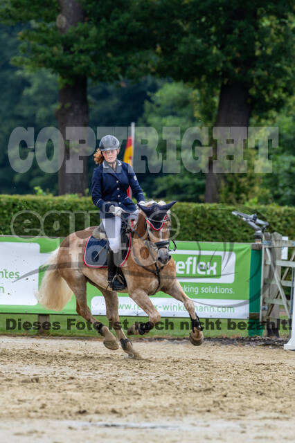 Goldene Schärpe 2021 - Ponys