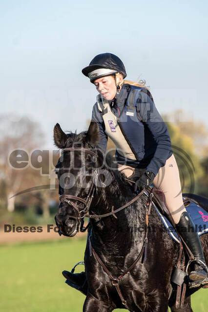 Vielseitigkeitslehrgang mit Jürg Kurbel (9.+10.11.2019)