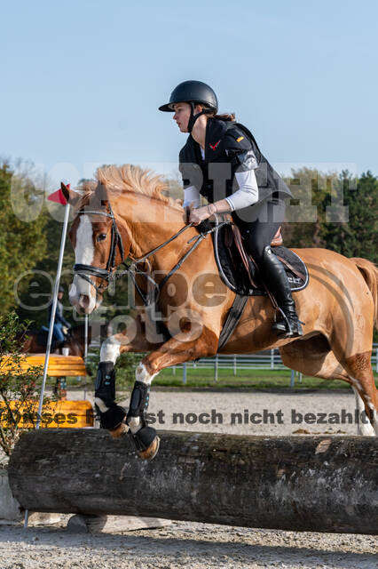 IGV Lehrgang der Sieger der Cups mit Frank Ostholt