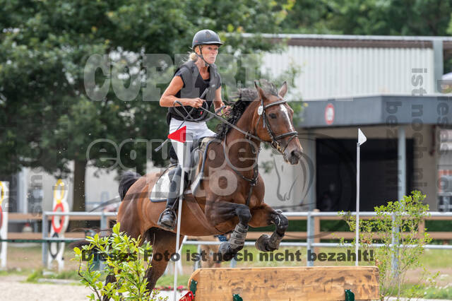 Late-Entry-Vielseitigkeit Langenfeld (06.+07.07.2020)