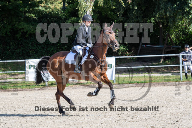 Landesturnier Rheinland, Vielseitigkeit, 22.+23.08.2020