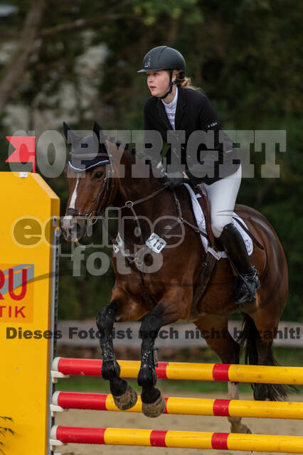 Vielseitigkeit RSV Wesel Obrighoven (26.+27.09.2020)