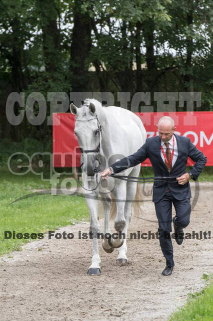FEI European Championship Eventing 2017