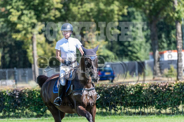 Kronenberg - De Peelbergen (August 2020)