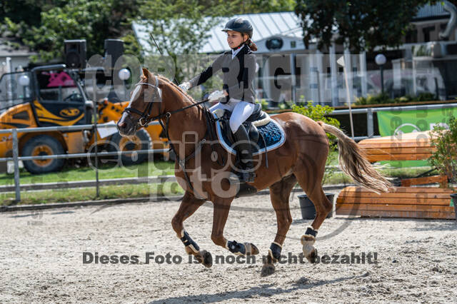 Landesturnier Rheinland, Vielseitigkeit, 22.+23.08.2020