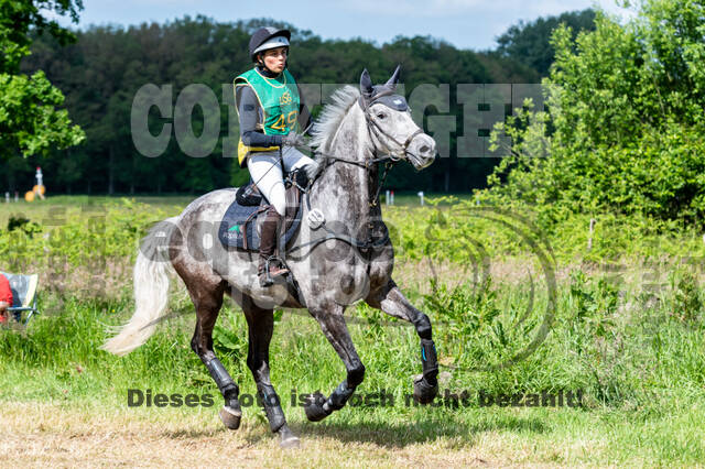 Westerstede Horse Trials (10.-13.06.2021)