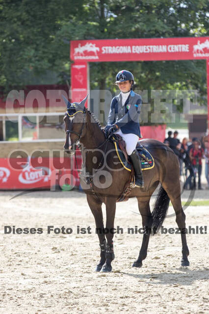 FEI European Championship