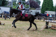 Late-Entry Vielseitigkeit Hamminkeln/Wesel (01.+02.08.2020)