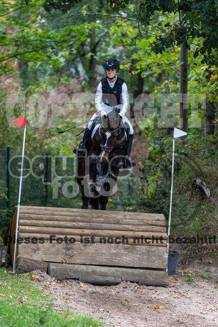 Goldene Schärpe 2020 - Pferde