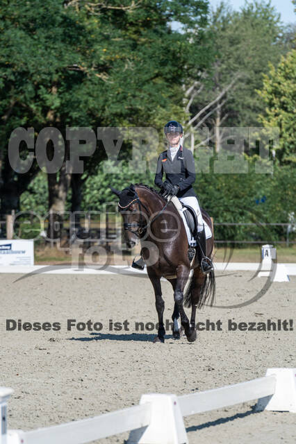 Kronenberg - De Peelbergen (August 2020)