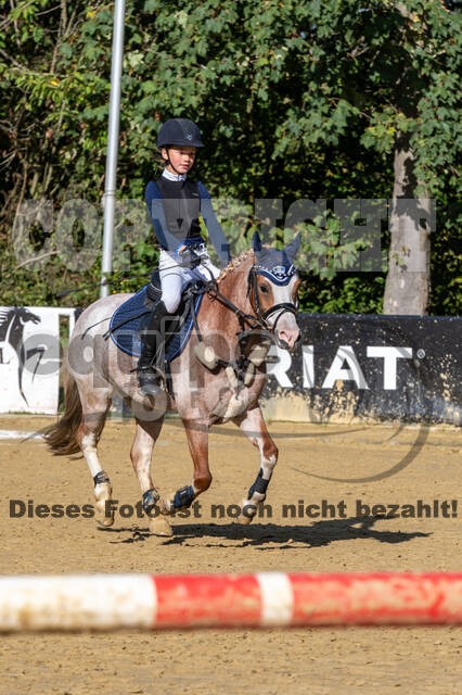 RFV Dinslaken-Hiesfeld (Herbstturnier)