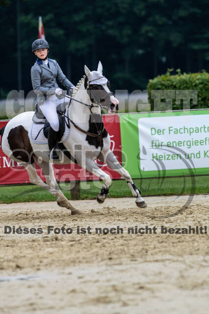 Goldene Schärpe 2021 - Ponys