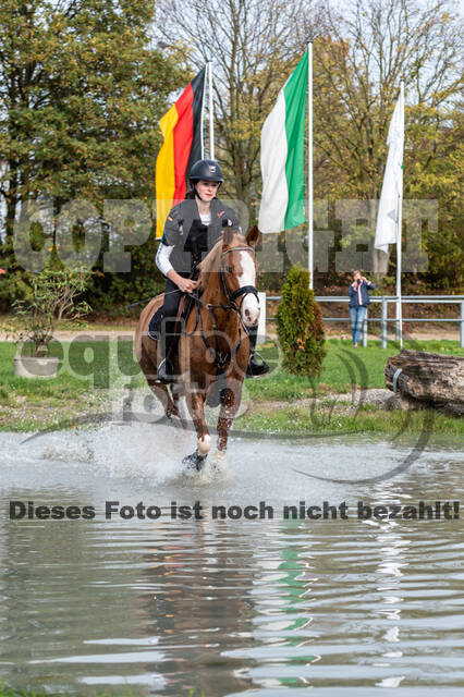 IGV Lehrgang der Sieger der Cups mit Frank Ostholt